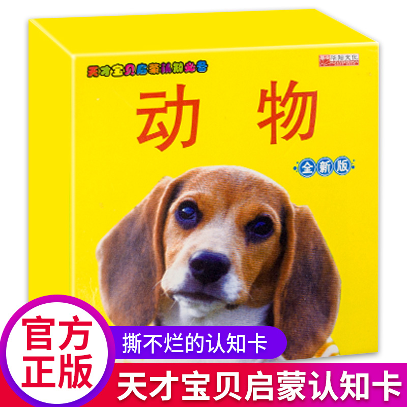 儿童看图识物早教书籍婴儿认知卡片一两岁宝宝天天学说话绘本启蒙益智撕不烂学习动物拼音数字学前洞洞翻翻书读物识字书幼儿认字1