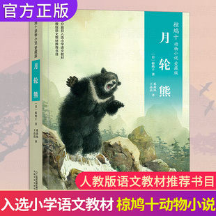 月轮熊 四年级上册彩色升级版椋鸠十动物小说爱藏本 11-14岁小学生课外阅读书籍五六年级课外日本作家童话故事 儿童故事读物