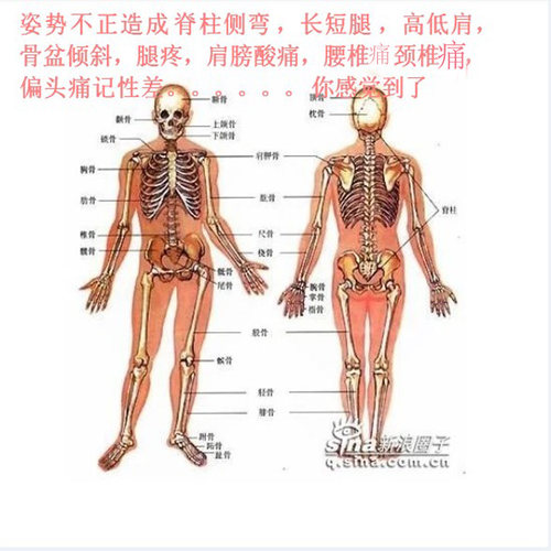 体衡矫正脊柱侧弯驼背骨盆旋转长短腿骨盆倾斜高低肩斜肩矫正鞋垫 - 封面