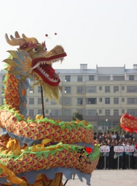 龙灯道具 舞龙舞狮 花色布龙 狮子龙灯 舞龙龙头 社火龙灯 舞龙珠