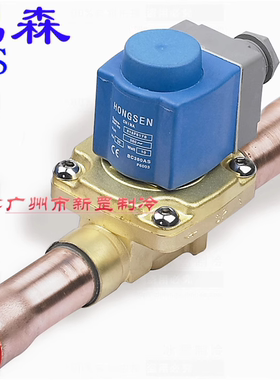 鸿森电磁阀'HS/EVR黑色大线圈AC380V AC24V DC12V DC220V