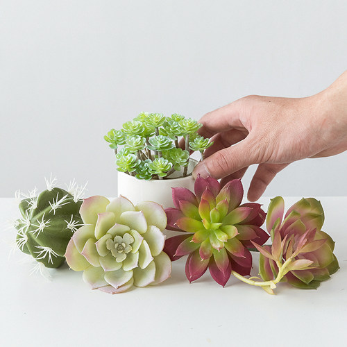 仿真花束肉价格 仿真花束肉图片 星期三