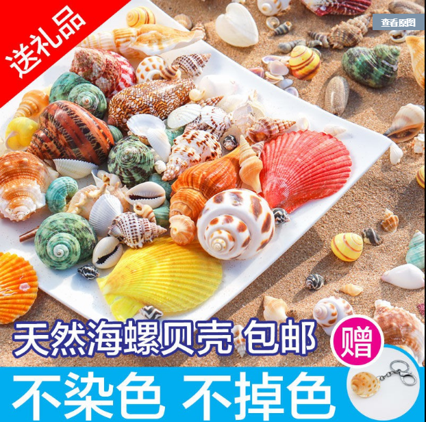 包邮天然海螺贝壳地台鱼缸diy