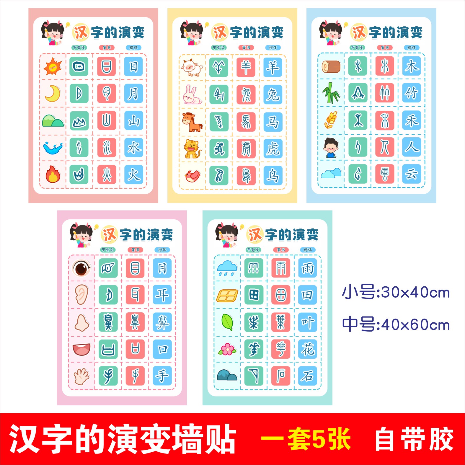 幼儿园中大班阅读区语言区汉字的演变过程环创百家姓墙贴挂图贴画