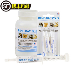 Petag帮你壮益生菌粉美国倍酷龙猫兔子荷兰猪豚仓鼠便秘软便胀气