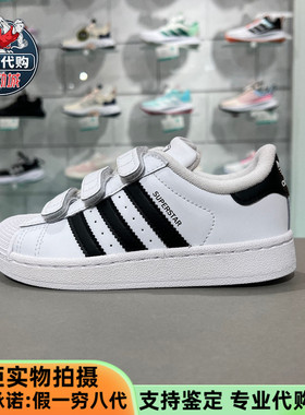 Adidas三叶草儿童经典贝壳头运动板鞋男女中童魔术贴小白鞋JI3988