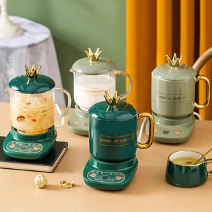 全陶瓷养生杯玻璃花茶养生壶电炖煎药壶多功能煲汤煮粥热牛奶神器