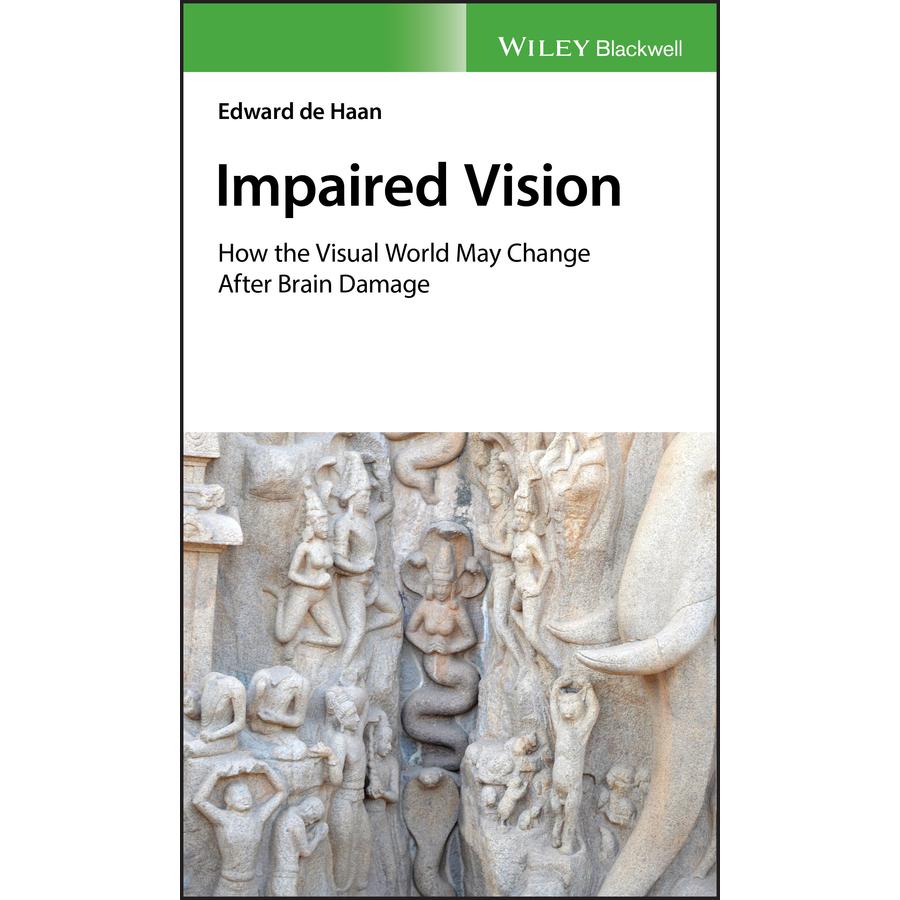 【预售 按需印刷】英文原版大脑损伤和视力受损 CBrain Damage and Impaired Vision C原装进口正版书籍