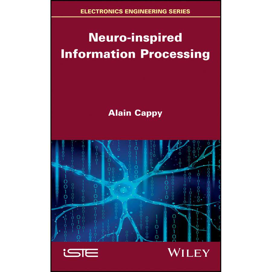 【预售 按需印刷】英文原版神经启发的信息处理CNeuro inspired Information Processing C原装进口正版书籍