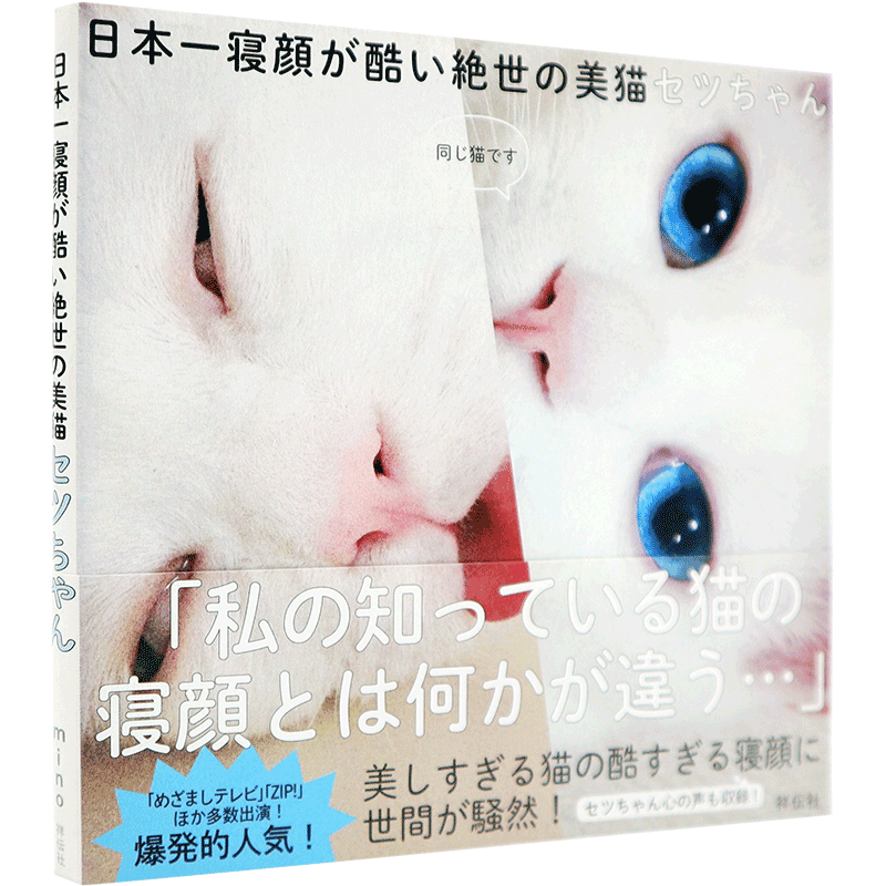 【现货】日本一寝顔が酷い絶世の美猫セツちゃん 猫咪摄影