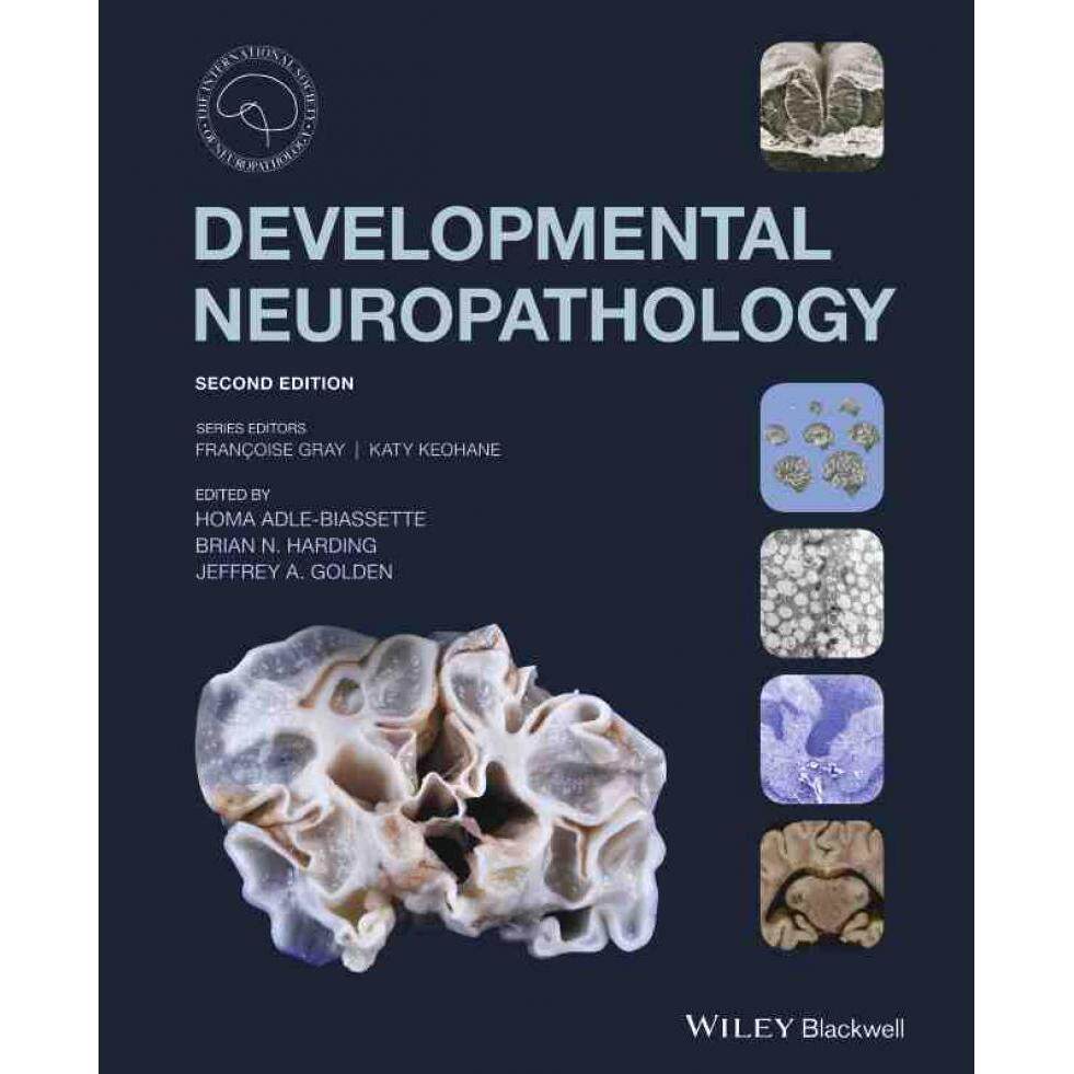 【预售 按需印刷】英文原版发育性神经病理学Developmental Neuropathology原装进口正版书籍