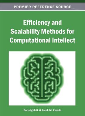 【预售 按需印刷】英文原版计算智能的效率和可扩展方法Efficiency and Scalability Methods for Computational Intellect原装进