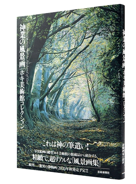 现货【深图日文】神农的风景画 HOKI美使馆藏品 艺术摄影集 神業の風景画 ホキ美術館コレクション写实绘画 芸術新聞社 进口正版书