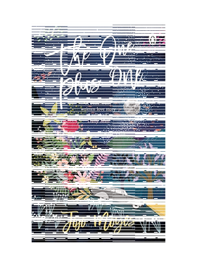 英文原版 一加一 The One Plus One 浪漫爱情小说 温馨感人故事 Discover the author of Me Before You 遇见你之前作者Jojo Moyes