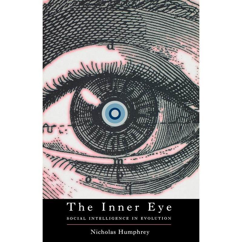 预售【按需印刷】英文原版 The Inner Eye内在之眼 牛津大学出版 原版进口正版书籍