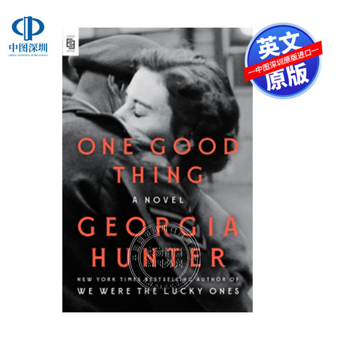 英文原版 一件好事  小说 One Good Thing: A Novel  进口英文正版书籍
