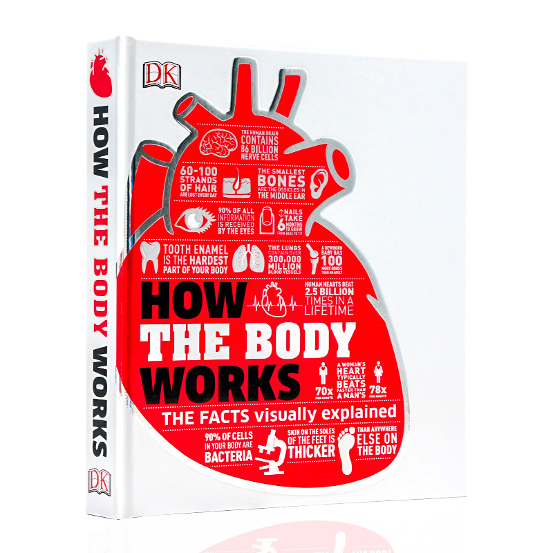 英文原版 DK人体学视觉图解百科 身体是如何运作的科普插图指南 DK-How the Body Works 儿童学生英语课外阅读读物