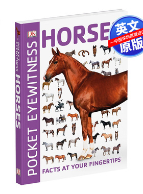 英文原版 DK系列 马 Pocket Eyewitness Horses 少儿科普 儿童英语动物百科读物 超135种类马指南书 全彩口袋书