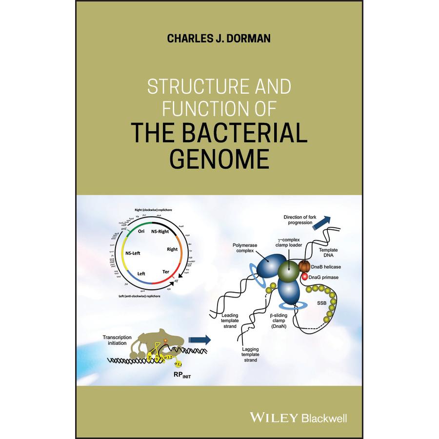 【预售 按需印刷】英文原版细菌的结构与功能Structure and Function of the Bacterial原装进口正版书籍