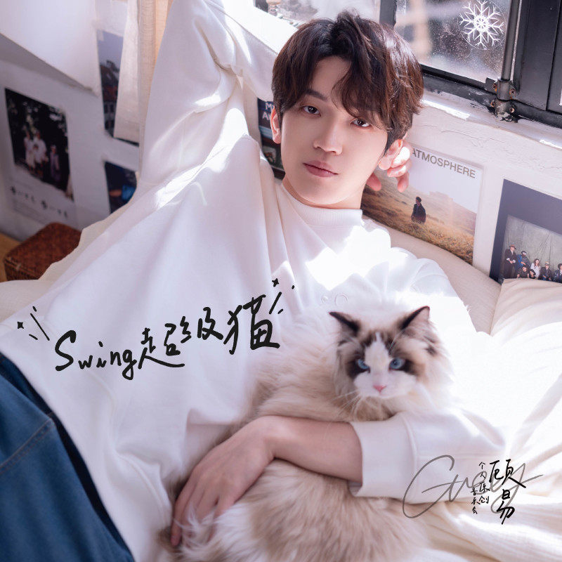 【正版音像】顾易 Swing超级猫 音乐会现场录音精选LP透明水蓝胶