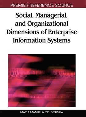 【预售 按需印刷】英文原版企业信息系统的企业、管理和组织维度Social  Managerial  and Organizational Dimensions of Enterpri