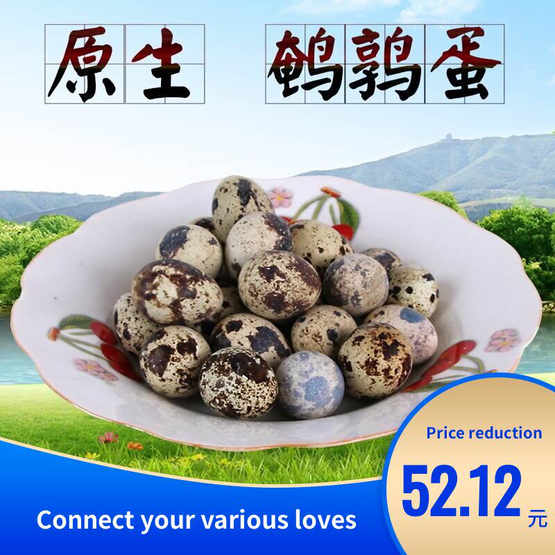 Farmers free range yimeng special products fresh fresh bird|ruв категории водной мясо/свежие фрукты и овощи/еда, яйца/яичные продукты, свежие яйца, другие - от Buy2taobao.com для оказания профессиональной услуги покупки агента Taobao