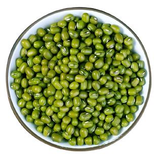 2025新绿豆山西绿豆发芽绿豆武乡特产红土地种植