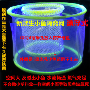鱼苗繁殖盒不用下石头的隔离网孔雀鱼产鱼孵化盒鱼缸隔离盒幼鱼网