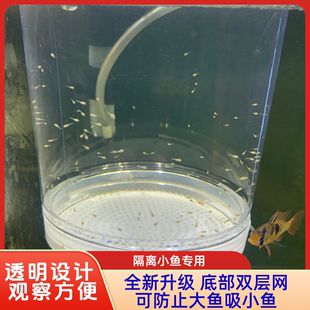 新款第二代鱼苗隔离罐水花苗隔离盒斑马鱼迷你鹦鹉孵化器鱼苗隔离