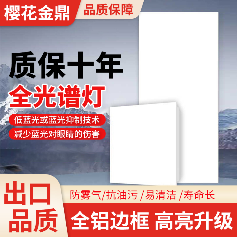 集成顶灯30X30X60灯全光谱5000k