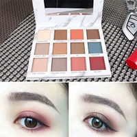 Ghost Mystery 12 Color Marble Eye Shadow Pearl Matte Makeup Tấm 12 Màu Eye Shadow Disk - Bộ trang điểm son môi ysl