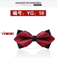 YG [018]