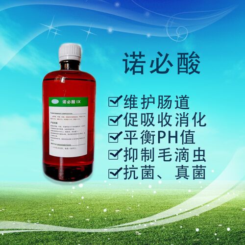 诺必酸500ml装