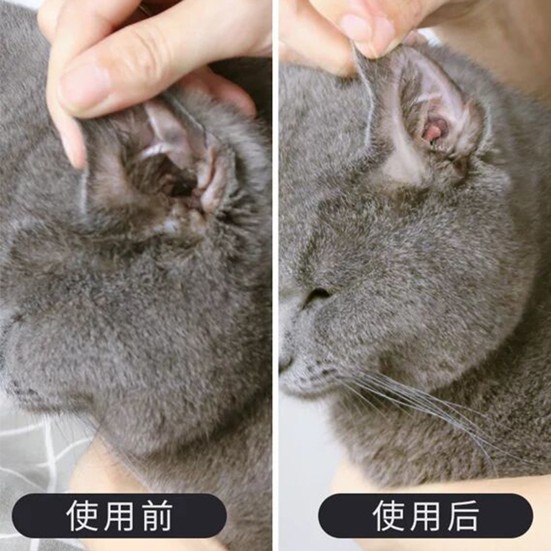 è¶úòý