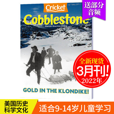 单期历史文化故事COBBLESTONE