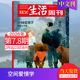 25年新闻时事热点中文杂志文化人文知识读者期刊 单期可选 三联生活周刊杂志2023
