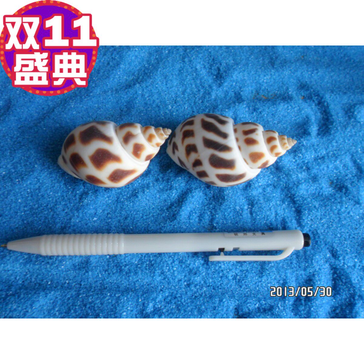 天然海螺贝壳鱼缸造景装饰品卷贝鱼寄居蟹套装海星小礼物地台摆件