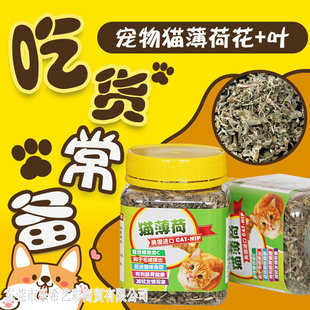 猫草零食 排除毛球清洁口腔调理品 猫薄荷草粉叶加花 大罐175ML
