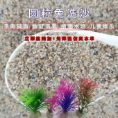 天然圆粒沙免洗沙水晶砂河沙多肉铺面鱼缸底砂水晶沙宝宝沙乌龟沙