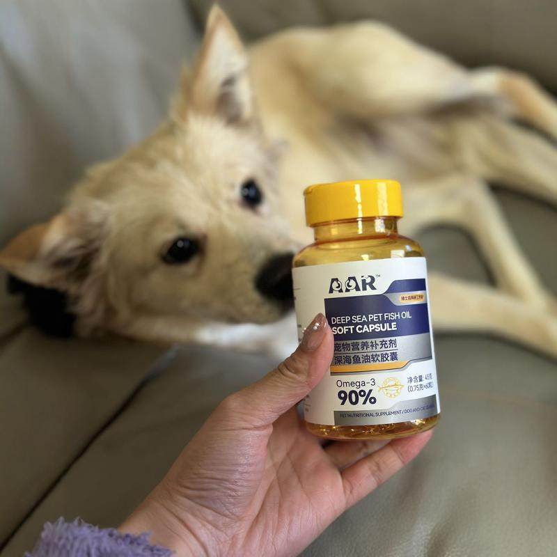 AAR宠物鱼油犬用卵磷脂成幼猫咪美毛护肤鱼油狗狗专用胶囊防掉毛,宠物/宠物食品及用品,狗卵磷脂/鱼油/海藻粉,淘宝优惠券,粉丝福利购,淘宝优惠卷