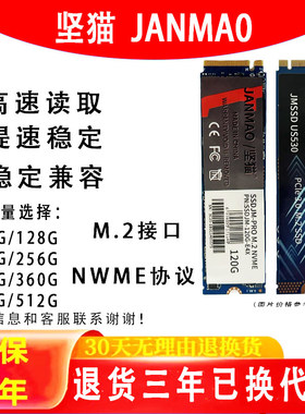 固态NVMe128G256G512G1TB固态盘