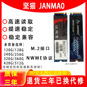 固态NVMe128G256G512G1TB固态盘