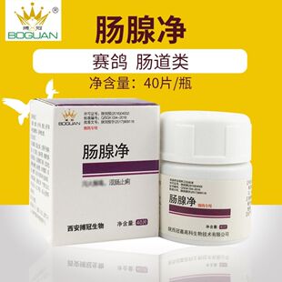 搏冠肠腺净鸽药信鸽药品赛鸽腺病毒沙门氏嗉囊炎水绿便鸽子药包邮