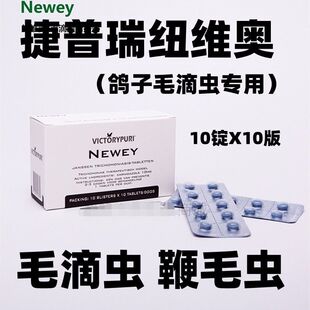 比利时捷普瑞鸽药 毛滴虫 10錠X10片 捷普瑞毛滴虫鸽药 纽维奥