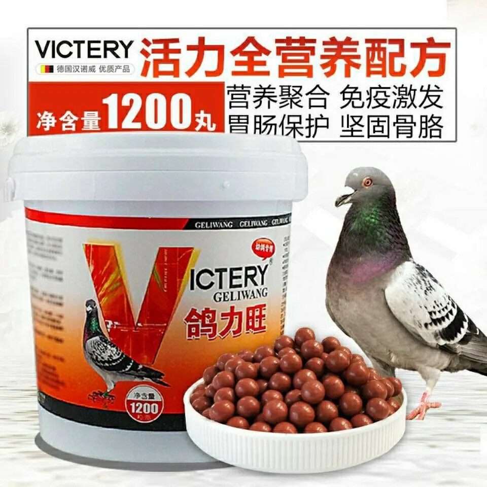 汉诺威鸽药鸽力旺1200丸育雏宝丸幼鸽补体发育换羽种赛鸽营养鸽药
