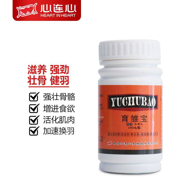 心连心鸽药大全鸟营养幼鸽丸赛鸽壮骨品鸽子鹦鹉用品育雏宝100丸,宠物/宠物食品及用品,鸟零食,淘宝优惠券,粉丝福利购,淘宝优惠卷