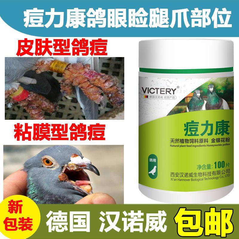 汉诺威鸽药痘力康100片赛信鸽痘鸽痘立清鸽痘净鸽子药豆力康