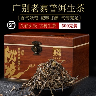 2025年广别老寨妖茶云南普洱茶生茶散茶散装1斤古树纯料头春头采