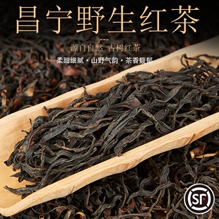 2025云南滇红昌宁野生古树红茶300克头春茶花果香蜜甜香山野韵足