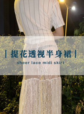 LianJie's 本阶版*无内衬蕾丝透感半身裙高弹白色性感外搭长裙夏